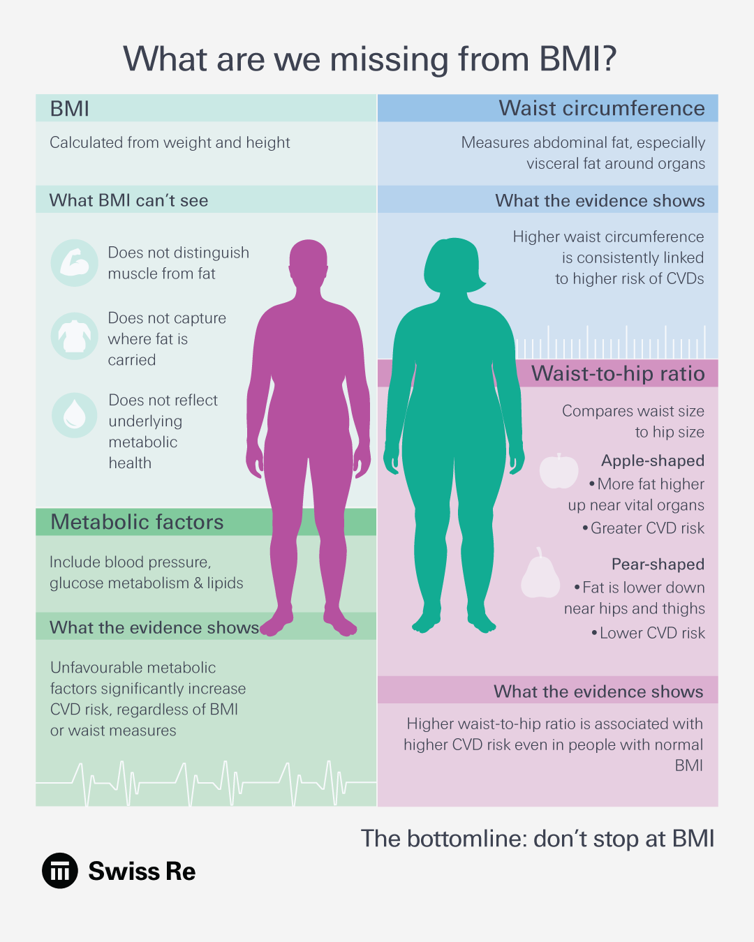 An infographic detailing limitations of BMI and alternative measures, comparing BMI, waist circumference, and waist-to-hip ratio, with silhouettes and detailed text.