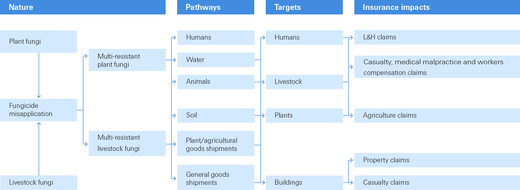 From fungi to insurance claims graph.