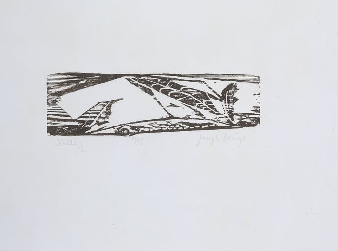 beuys-ART20077-propylaeen